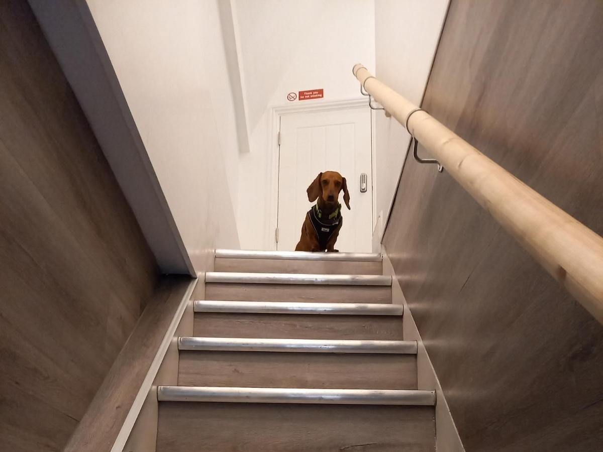 The Stannary Apartment Helston Luaran gambar